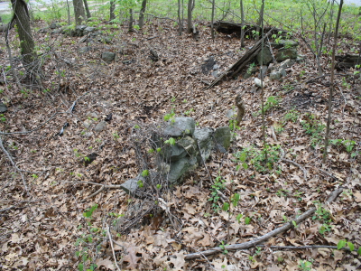 Oak Grove School