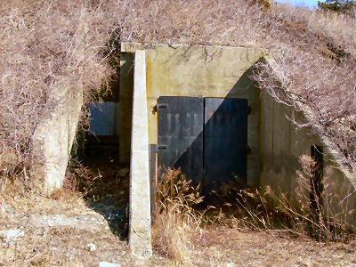Battery Kingman