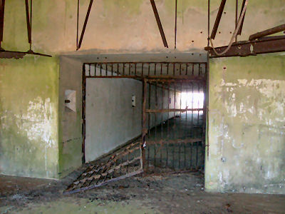 Battery Kingman