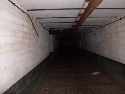 Battery Kingman