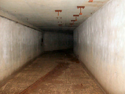 Battery Kingman